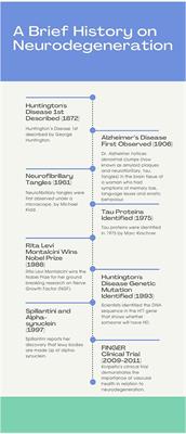 The Female Impact in the World of Neurodegeneration